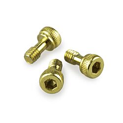 Captive Screw M4 for Skimmer Base (PKT 3)