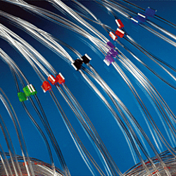 PVC 2-Stop Tubing, Orange/Blue (0.25mm) 12/pk